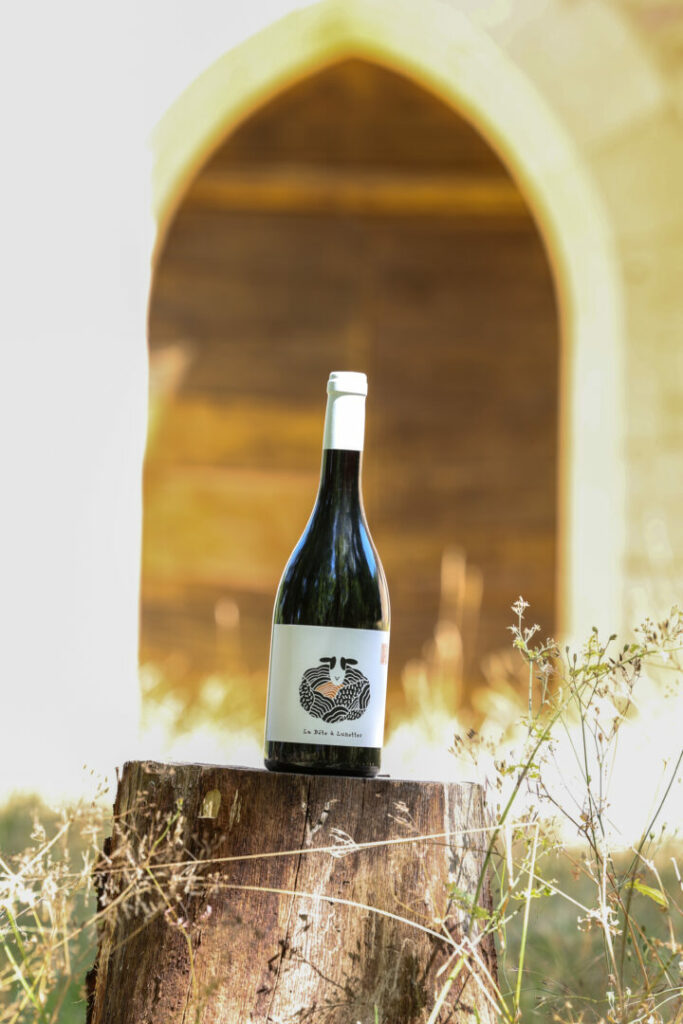 Photo • Vignerons du Quercy by Agence Aurava à Montauban