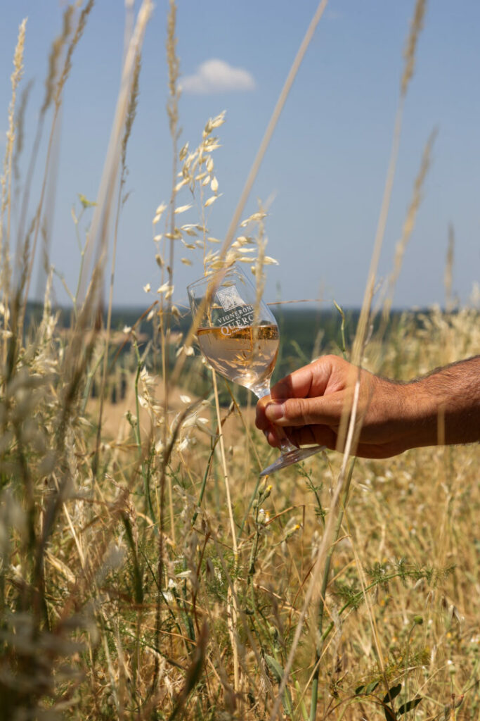 Photo • Vignerons du Quercy by Agence Aurava à Montauban