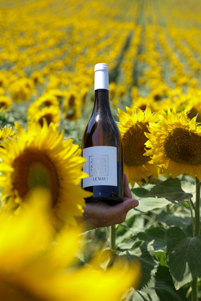 Photo • Vignerons du Quercy by Agence Aurava à Montauban